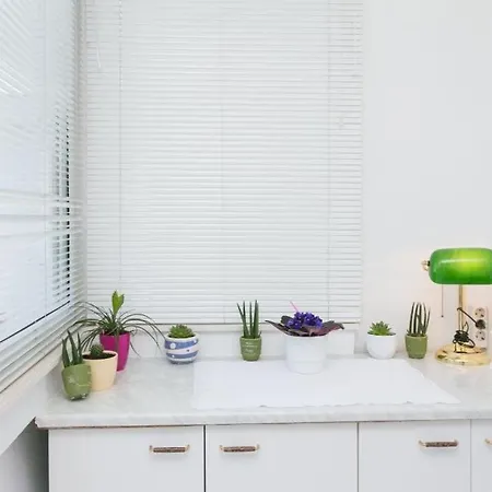 Vukoja * 杜布罗夫尼克